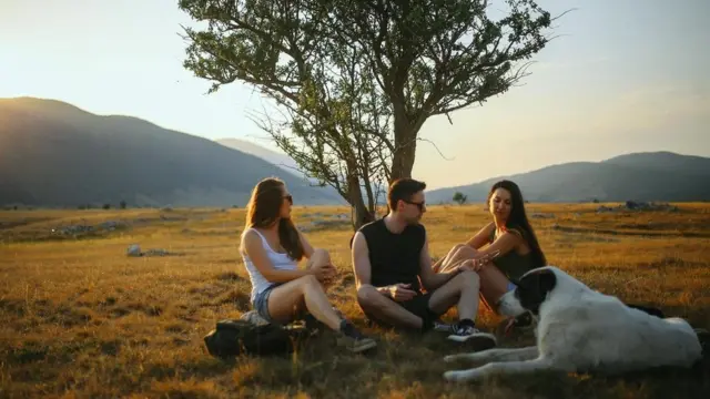 parkta köpekleriyle oturan üç kişi