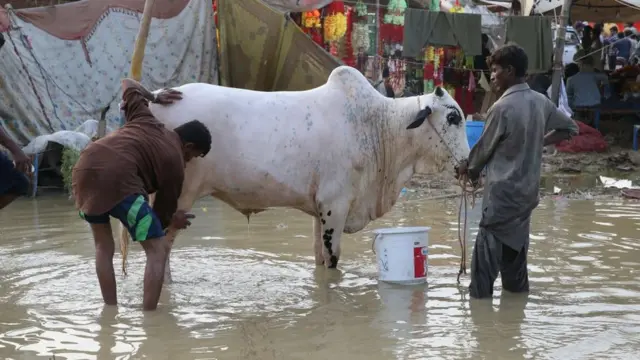 حج اور عیدِ قرباں
