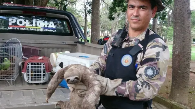 Bicho-preguiça é resgatado por PM