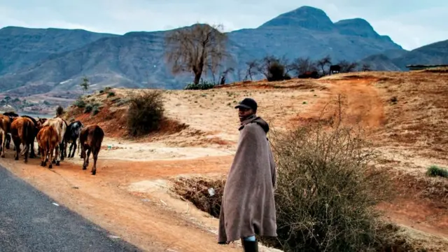 По пути на север Джулия Албу повстречала немало интересных людей