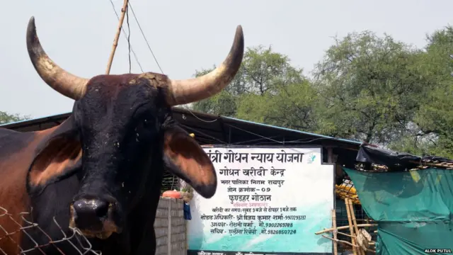 गोधन न्याय योजना