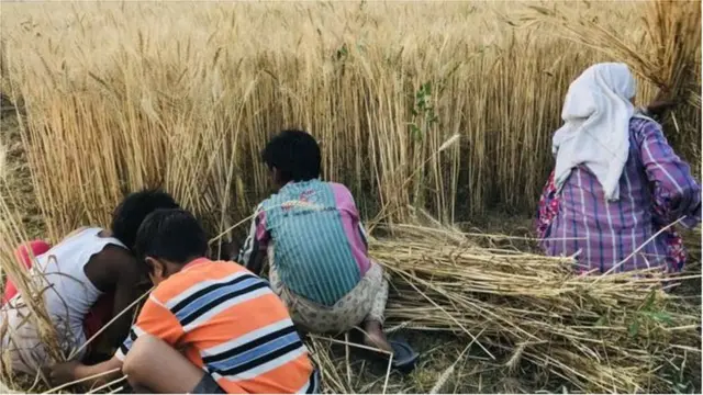 హేమమాలిని ఫొటో