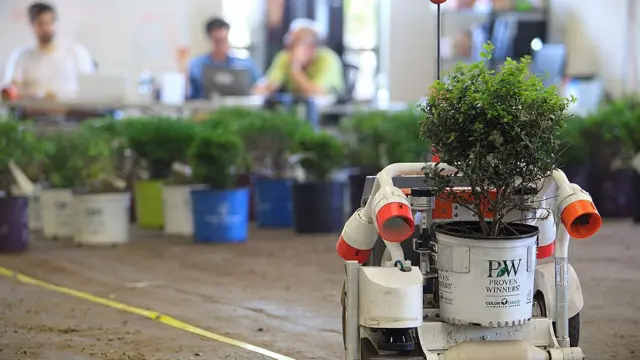 Водночас, немає значення, яка погода на вулиці і в якому кліматі буде ферма