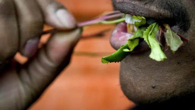 dargaggoo jimaa qama'u