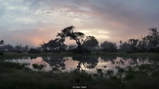 अफ्रीका