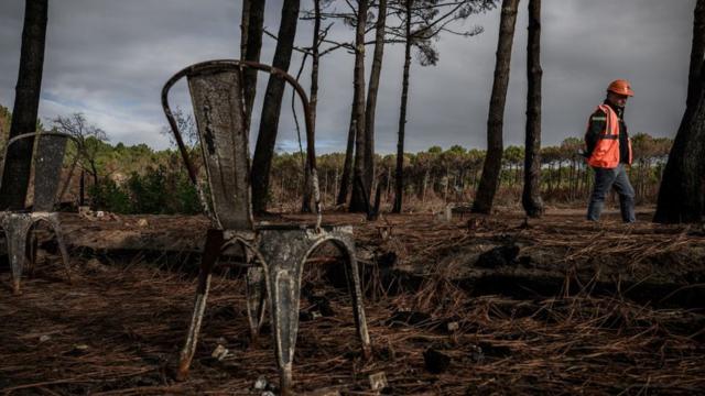 Последствия сентябрьского лесного пожара во Франции