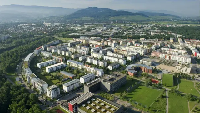 Riesefeld (Foto: Frey Gruppe)