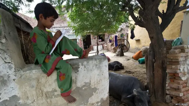 प्रातिनिधिक फोटो