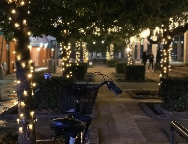 Подгорица, 20. децембар 2018.