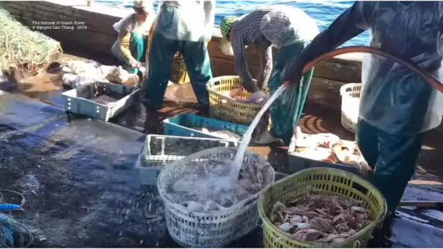 Phim 'Nỗi Buồn Sông Gianh'