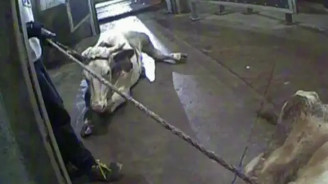 фрагмент видео