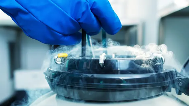 अंडाणु फ़्रीज़