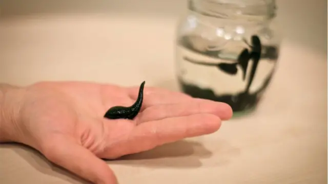 Er uxlayotganda xotin sikiladi (porno) Onlayn tomosha qilish uchun realiti-shoularda eng yaxshi jinsiy aloqa va yalangochlik