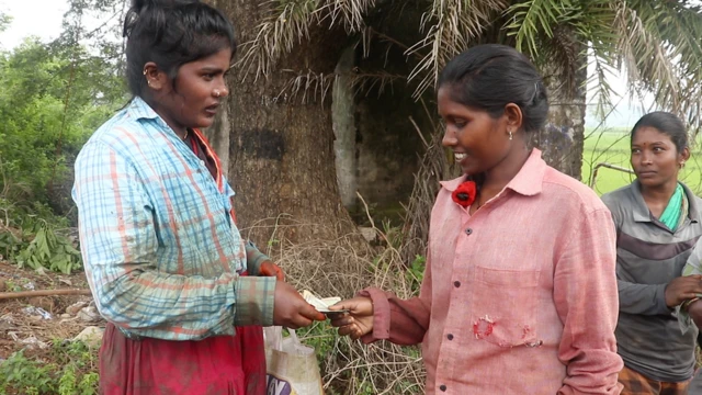 తస్లీమా