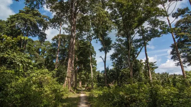 （圖片來源：Neelima Vallangi）