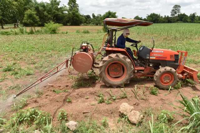 พาราควอต