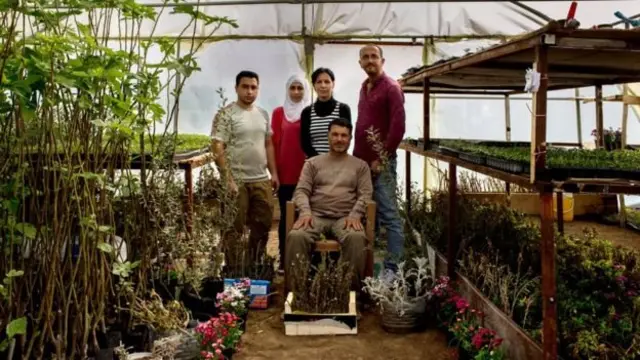 domiz kampında yaşayanlar