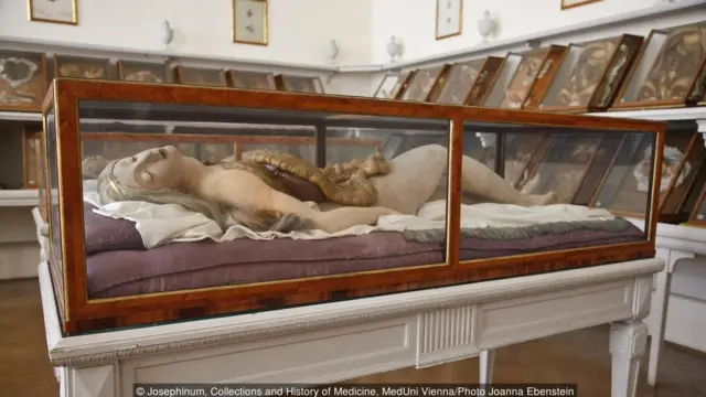 Josephinum, Collections and History of Medicine, MedUni Vienna/Photo Joanna Ebenstein