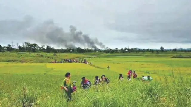 သက်လူမျိုး
