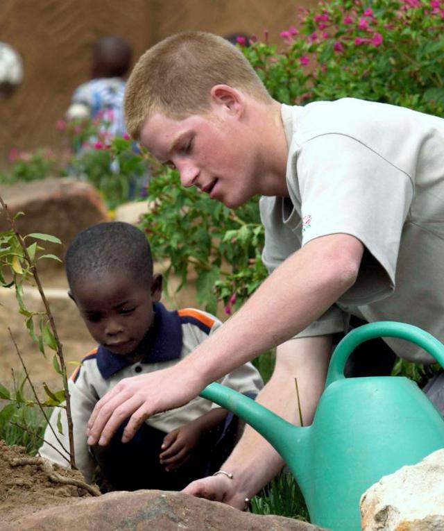 Prince Harry planting a tree at an orphanage, in Lesotho, southern Africa, 2004