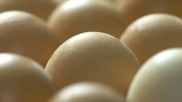 এসব ডিমে আছে ক্যান্সার প্রতিরোধী প্রোটিন।