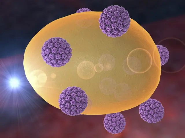 மனித பாப்பிலோமா வைரஸ்