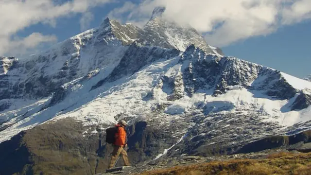 न्यूज़ीलैंड