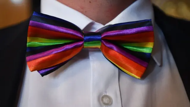 Галстук-бабочка с цветами радуги