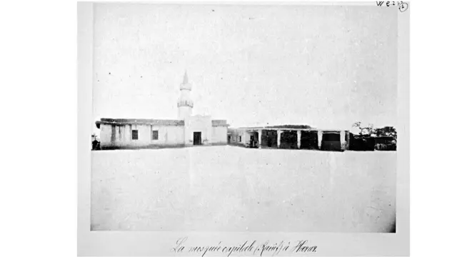 Barxadda Farasmaagalaha 1885 hortii