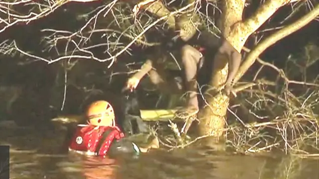 Eeyan kan to n fori sọta iji lile to sa sori igi