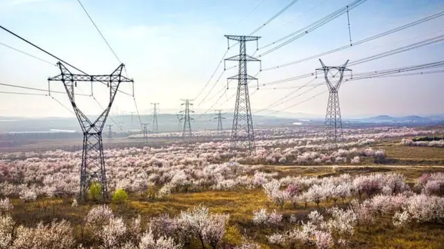 ચીન વીજળીની ભારે અછતનો સામનો કરી રહ્યું છે અને ત્યાં લાખો ઘર અને કારખાનાં આ મુસીબત સામે ઝૂઝી રહ્યાં છે.