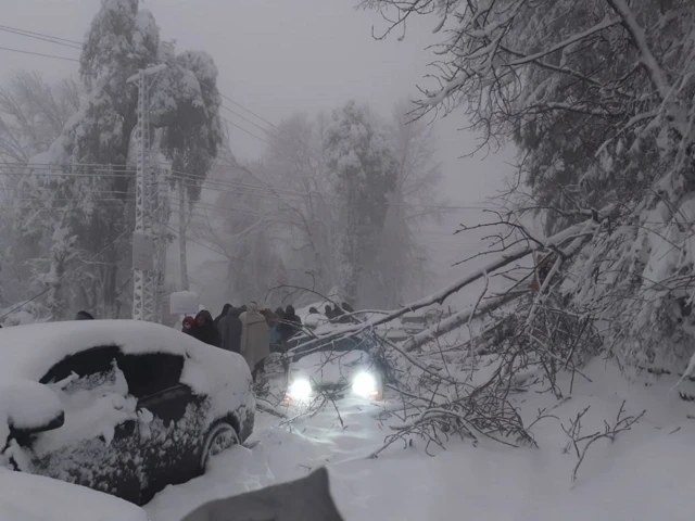 पाकिस्तान