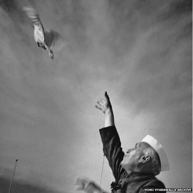 दिल्लीत 1950 मध्ये आयोजित केलेल्या एका कार्यक्रमात जवाहरलाल नेहरूंचा पारव्याला आकाशात सोडतानाचा हा फोटो होमी यांनी टिपला आहे.