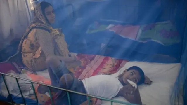 হাসপাতালের চিকিৎসাধীন ডেঙ্গু রোগী