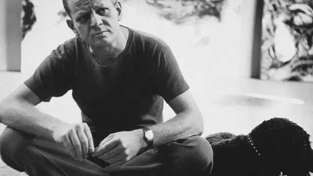 جکسون پولاک دائم الخمر بود و زندگی گوشه گیرانه ای داشت. او در سن ۴۴ سالگی در یک تصادف رانندگی کشته شد