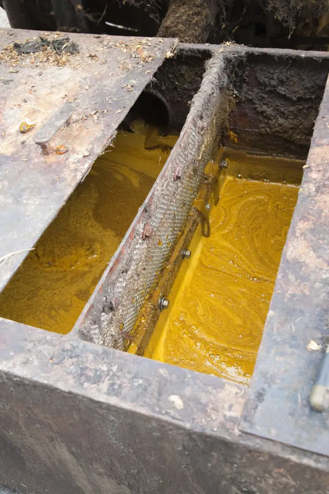 कच्चा पाम आयल