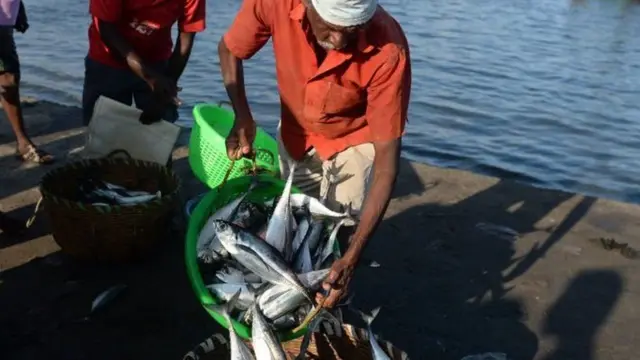 પ્રતિકાત્મક તસવીર