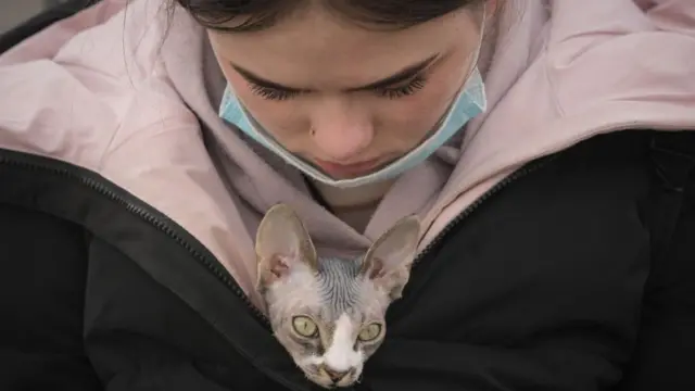 জ্যাকেটের মধ্যে বিড়াল নিয়ে কিশোরী