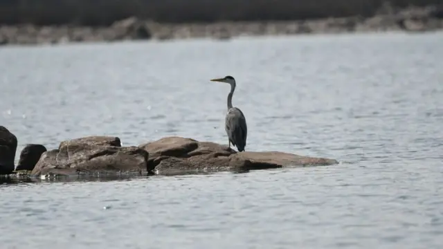 காவிரி பிரச்சனையின் தோற்றுவாய் எது?