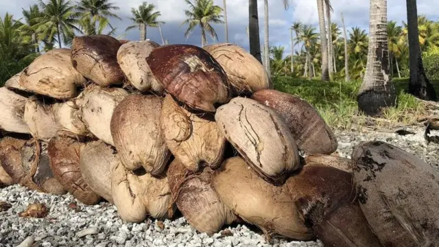 ट्रेवेल, डिस्अप्वाइंटमेंट आइलैंड्स