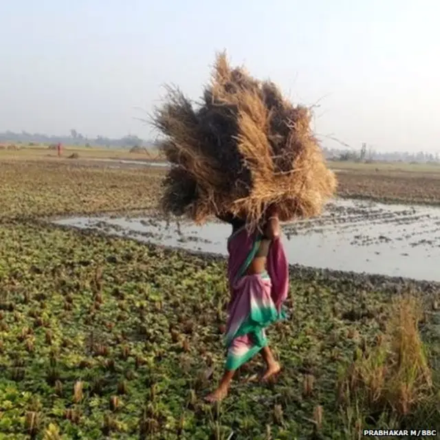 पश्चिम बंगाल