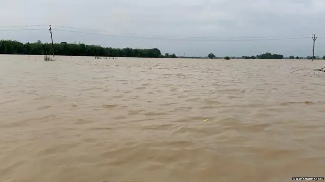 असम बाढ़