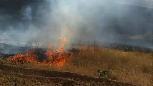 همدان