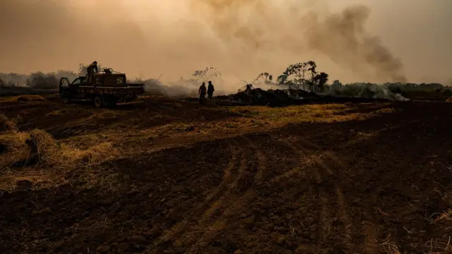 Brigadistasnatan betnacionalação para combater o fogo no Pantanal