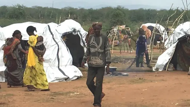 ካብ ሞያሌ ዝተመዛበሉ ሰባት ናብ ኬኒያ ሃዲሞም ኣትዮም