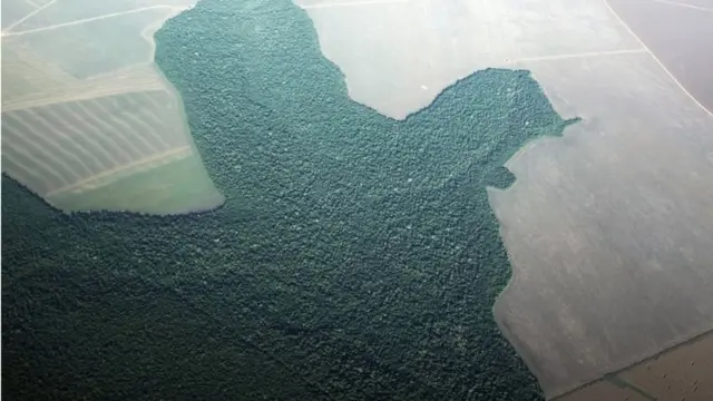 अमेज़न इलाके का आसमान से लिया गया चित्र