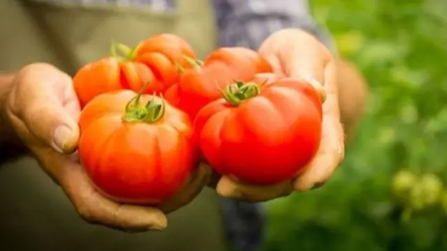 2015-жылы алтынды эсепке албаганда, экспорттолгон товарлардын көлөмү 50 млн доллар болсо, 2018-жылы 95 млн долларга жеткен