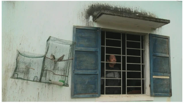 Việt Nam, phim