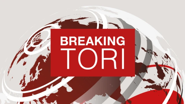 Breaking tori foto