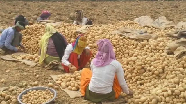 किसान प्रदर्शन हिंसा